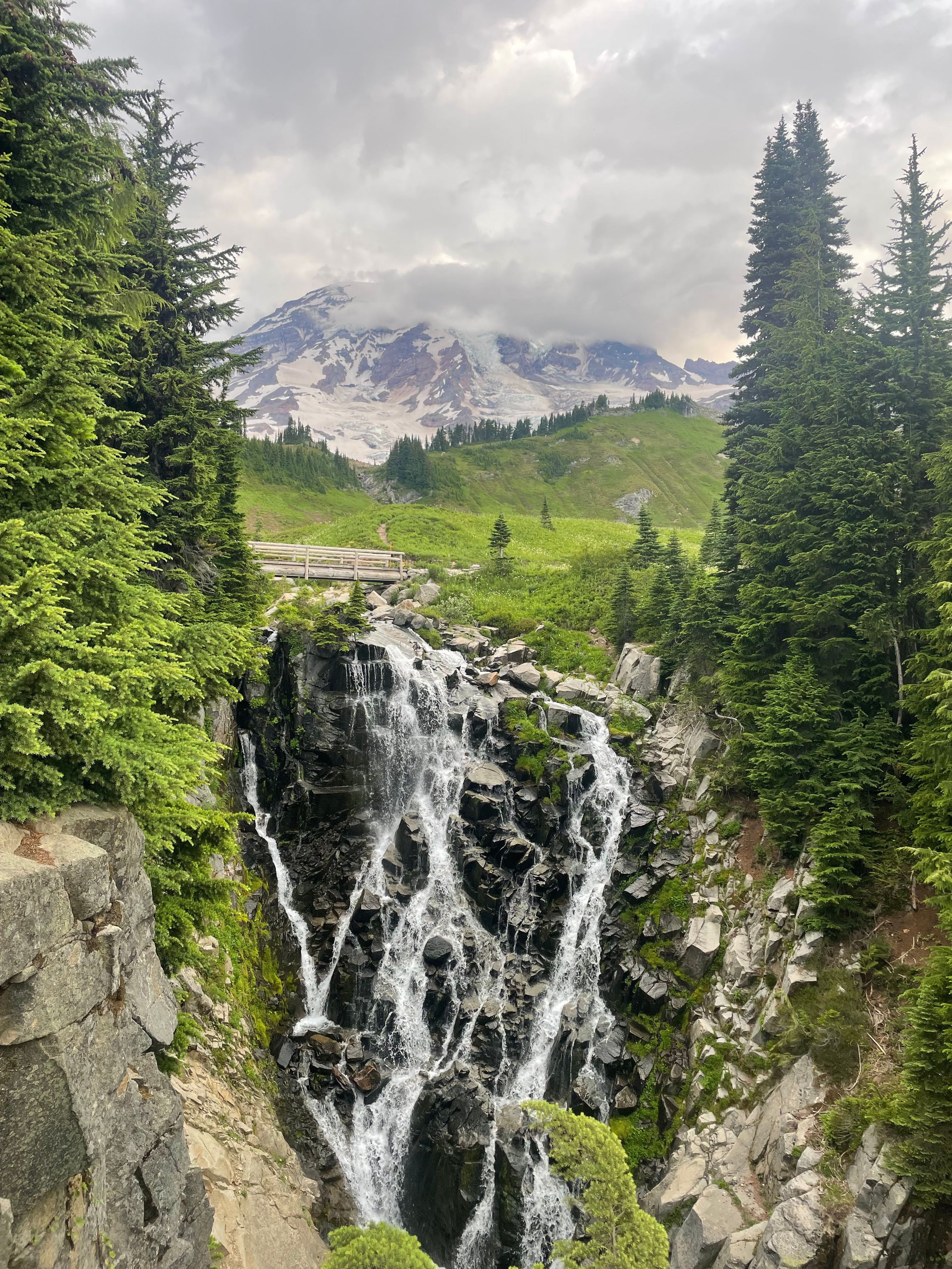 IMG_1920.jpeg