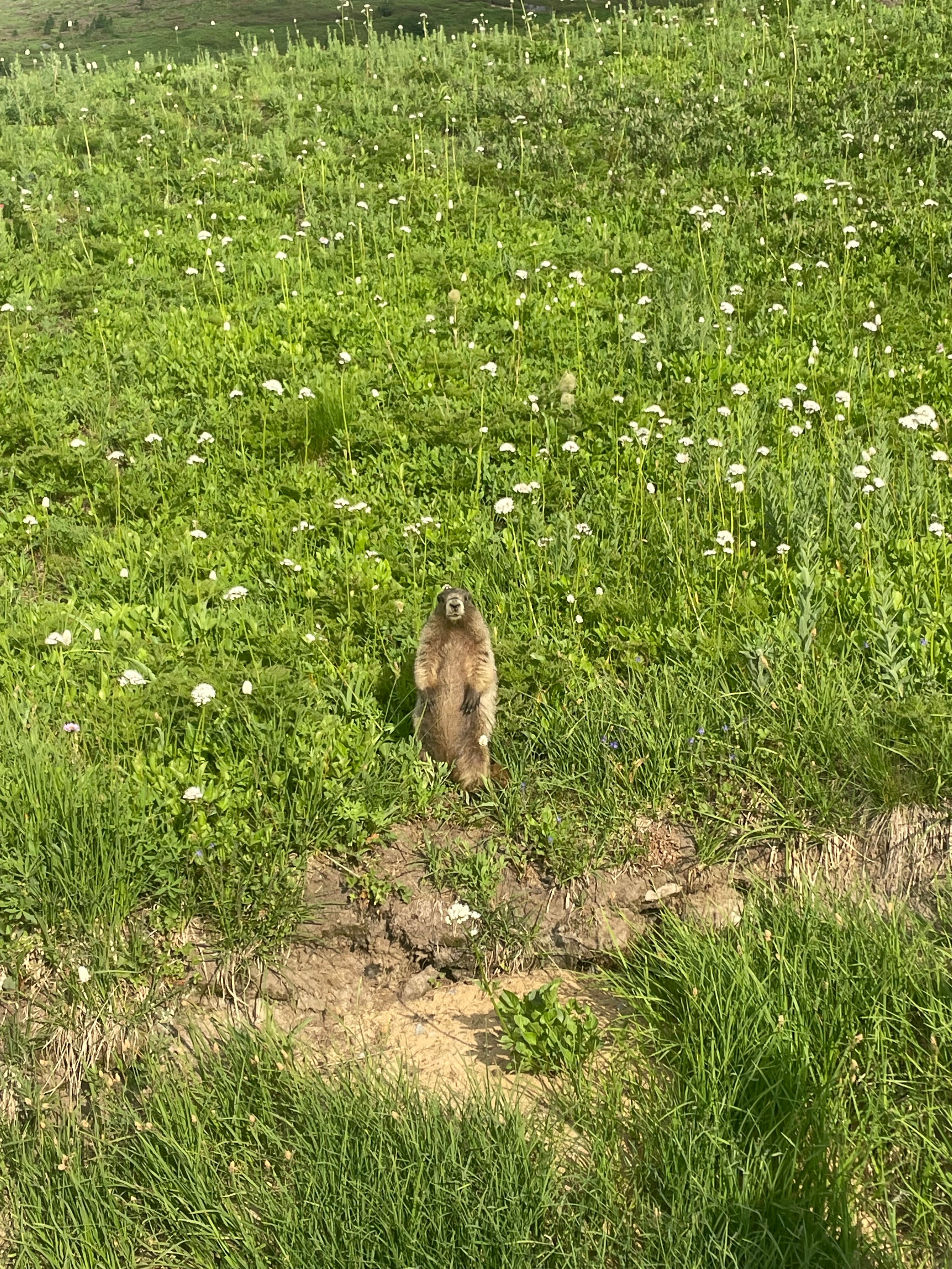 IMG_2024.jpeg